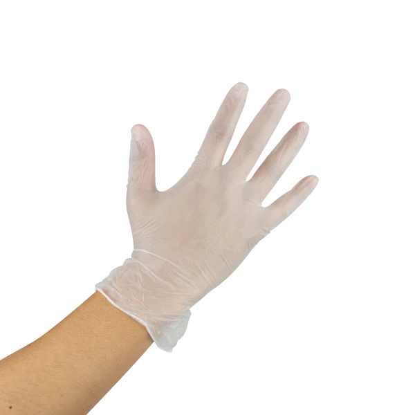 Karat Vinyl Powder-Free Gloves (Clear), Large - 1,000 pcs