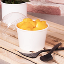 Karat Paper Food Containers WHITE (4oz-32oz)