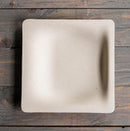 World Centric - 7" Fiber Square Plate