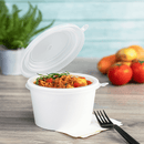 Karat - 16oz PP Hinged Insert for 24-32 oz Food Container (142mm) - 300ct