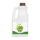 Kiwi Syrup - Tea Zone 64oz (Case of 6)