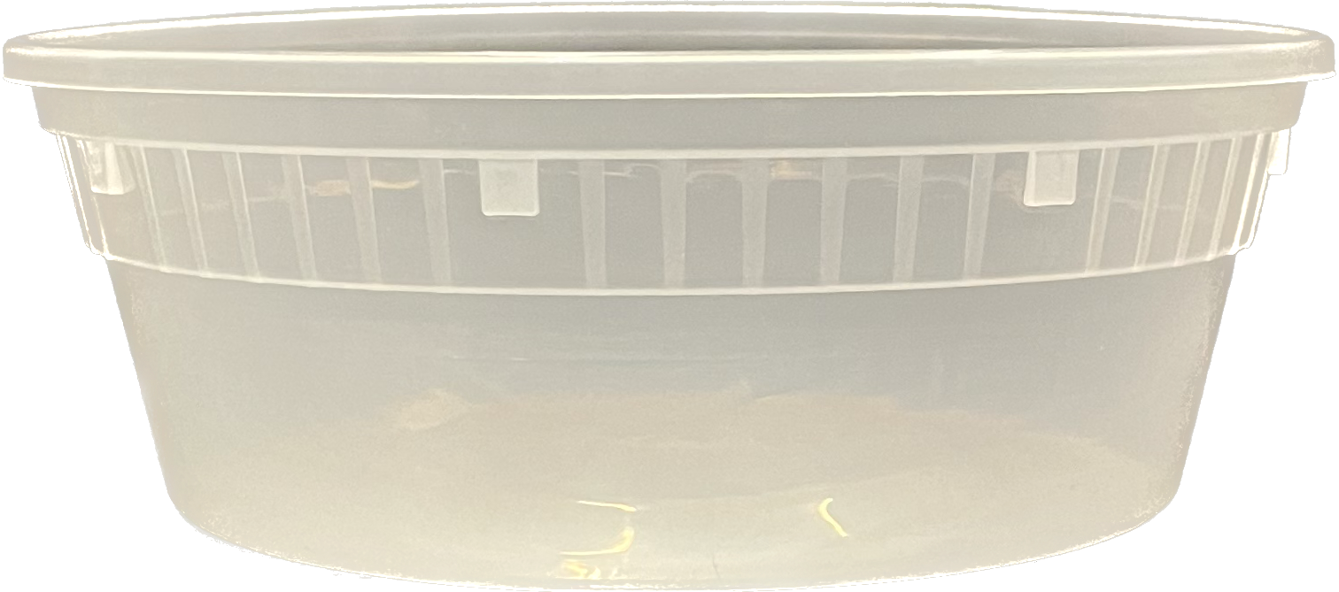 Wholesale 12oz PP Plastic Injection Molded Deli Containers with Lids - 